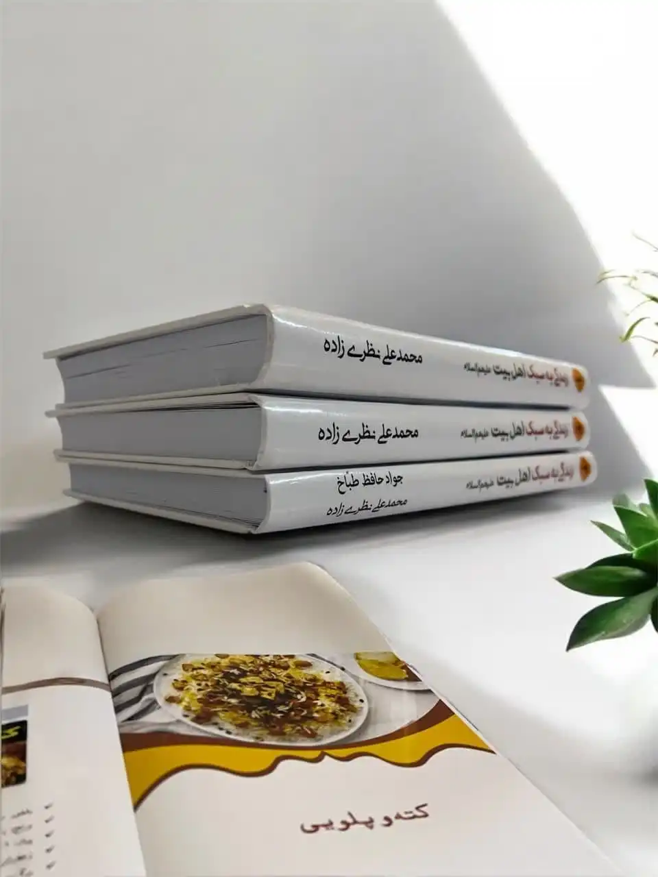 استاد نظری زاده استاد نظری زاده