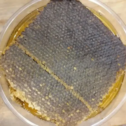 موم زنبور عسل