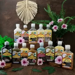 شامپو های هرنگ